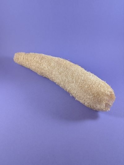 Esponja Vegetal de Luffa XXL