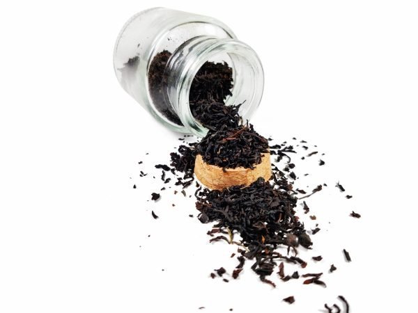 Earl Grey Portada scaled