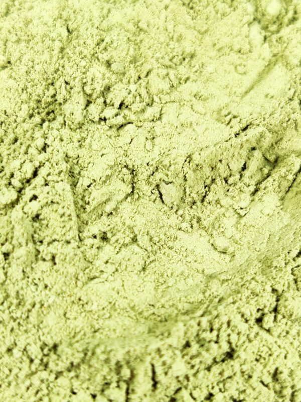 Moga cha Bio Detalle scaled