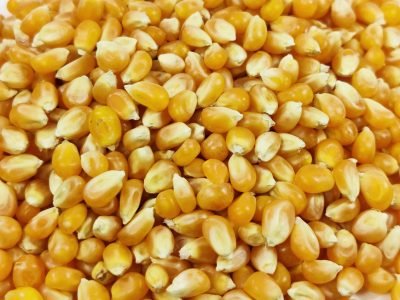 Maiz Palomitas Detalle scaled