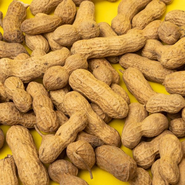 Frutos secos
